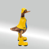 Canard de Frise orientale "Antje" petit