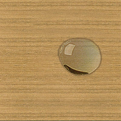 Teak Shield 1 Liter